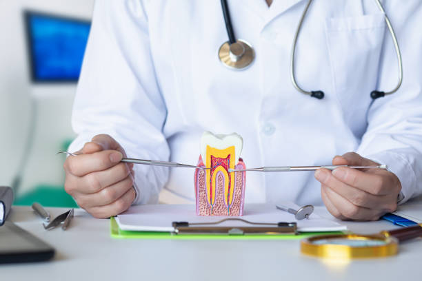 Best Weekend Emergency Dentist in Norton Shores, MI